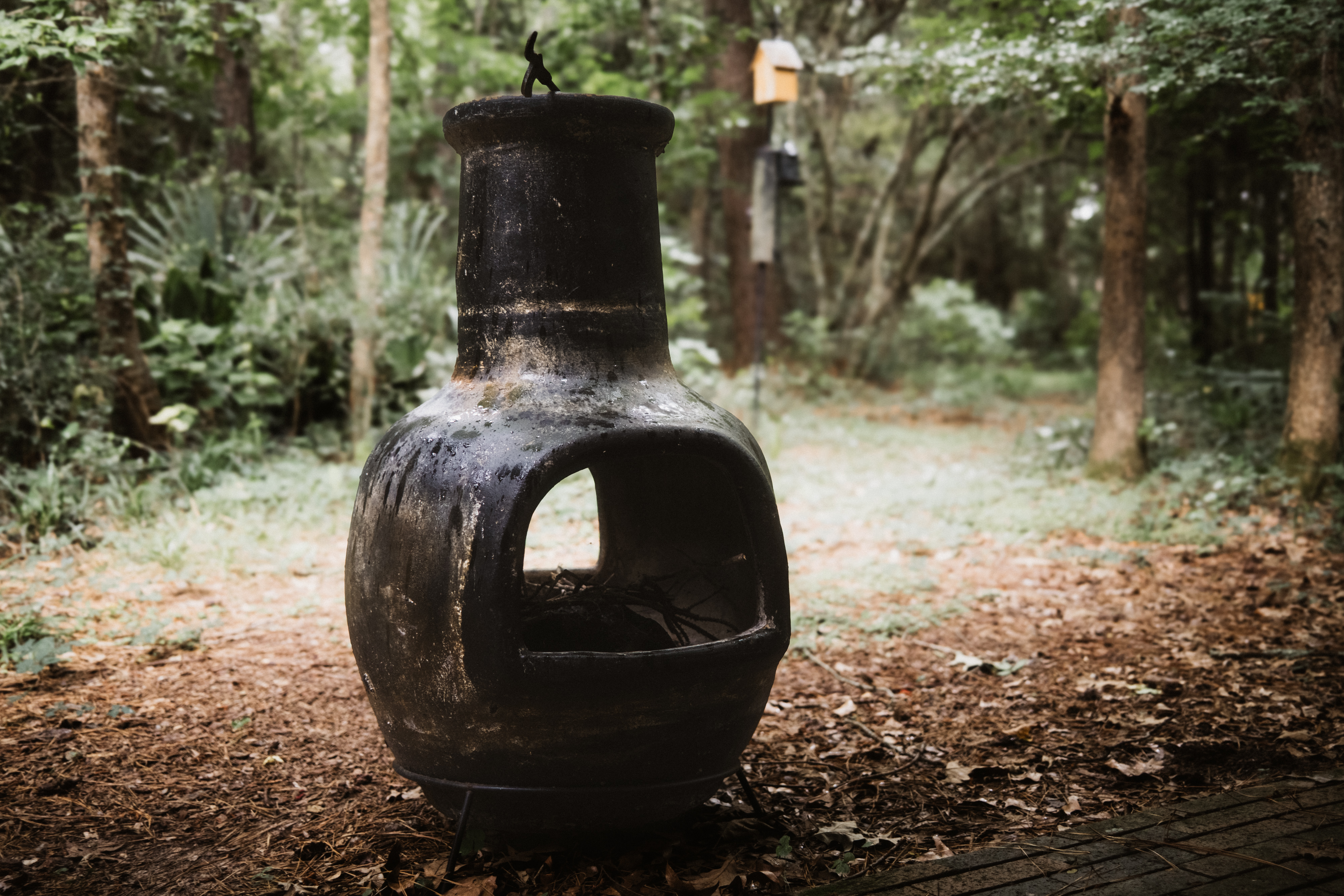Chiminea / Fuji X100VI / SOFT.FILM.LOOK Recipe